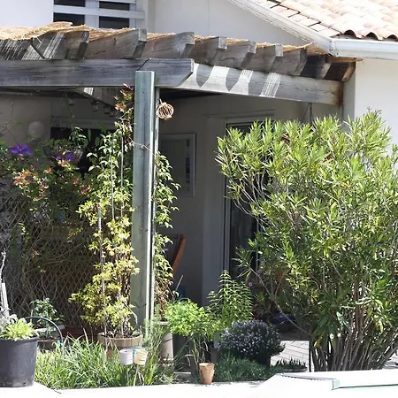 Calme Et Nature, Ba Gujan-Mestras